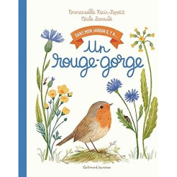 Un rouge-gorge - Kecir-Lepetit E.
