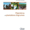 Pépinieres et plantations d'agrumes - Aubert / Vullin