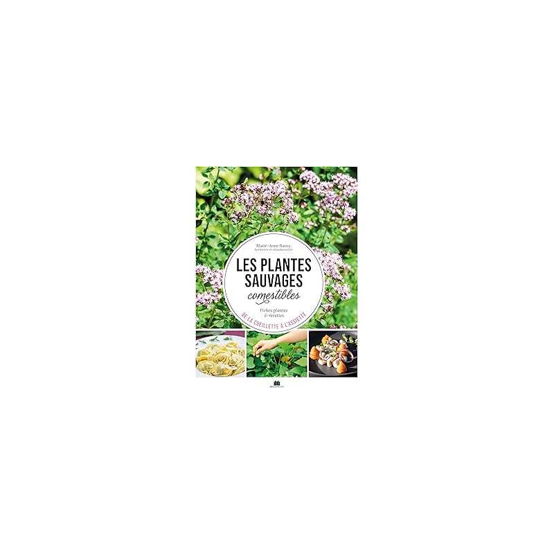 Les plantes sauvages comestibles - Marie-Anne Barny