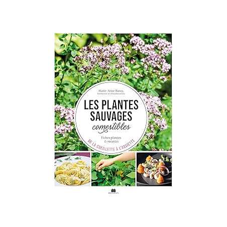 Les plantes sauvages comestibles - Marie-Anne Barny
