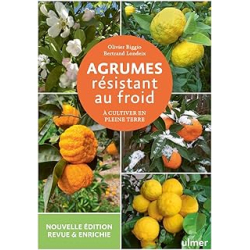 Agrumes resistant au froid - Biggio/Londeix