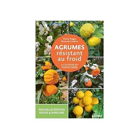 Agrumes resistant au froid - Biggio/Londeix