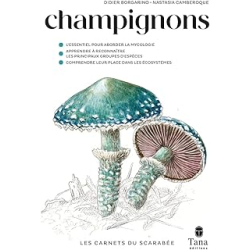 Champignons - Borgarino/Camberoque