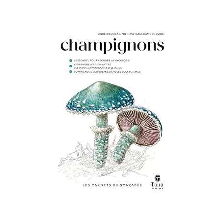 Champignons - Borgarino/Camberoque
