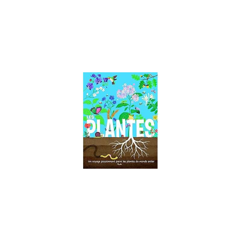 Mon premier documentaire pour découvrir : les plantes - Borsboom/Watson