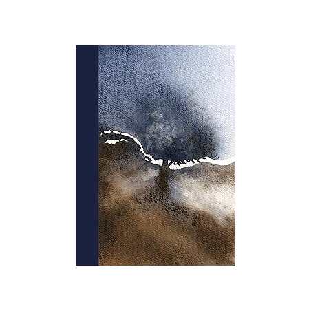L'arbre - Boudon/Guitton