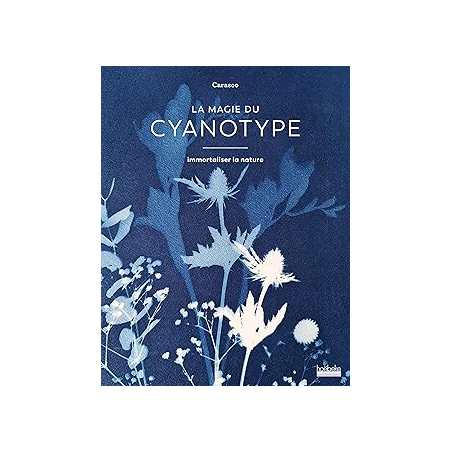La magie du cyanotype - Carasco