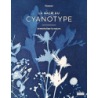 La magie du cyanotype - Carasco