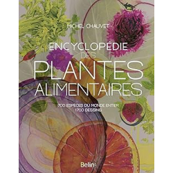 Encyclopédie des plantes alimentaires - Chauvet Michel