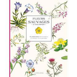 Fleurs sauvages à colorier - Collectif