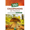 250 champignons de France - les reconnaitre & les cuisiner ! - Collectif