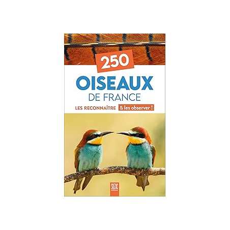 250 oiseaux de France - Collectif