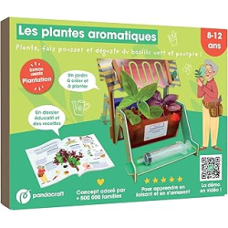 Les plantes aromatiques - kit pandacraft 8-12 ans - Collectif
