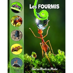 Les fourmis - Collectif