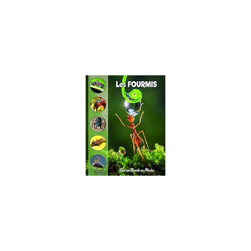 Les fourmis - Collectif