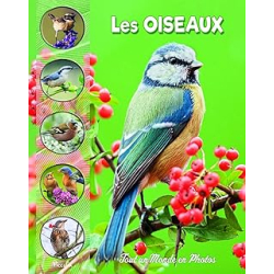 Les oiseaux - Collectif