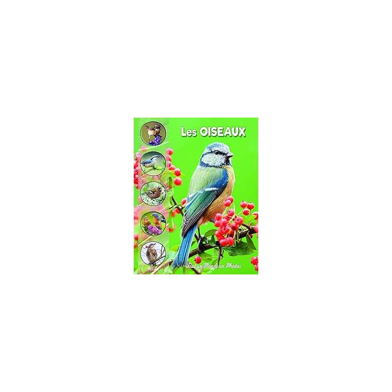 Les oiseaux - Collectif