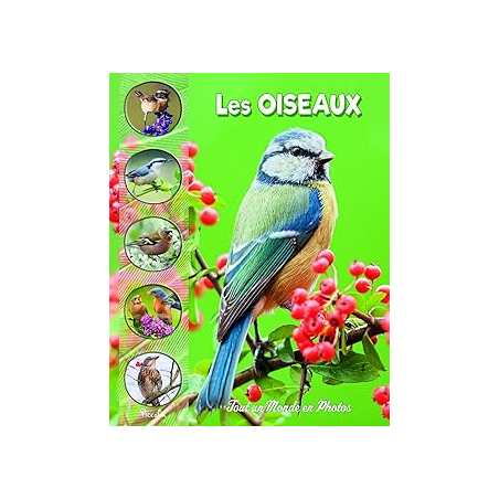 Les oiseaux - Collectif