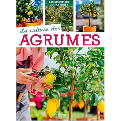La culture des agrumes - Collectif