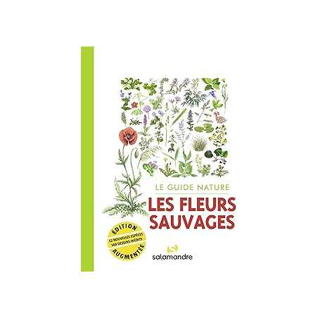Le guide nature - Les fleurs sauvages - Collectif