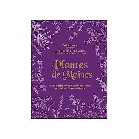Plantes de moines - D'Auria
