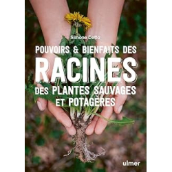 Pouvoirs & bienfaits des racines des plantes sauvages et potagères - Detto Simone