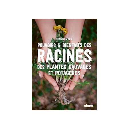 Pouvoirs & bienfaits des racines des plantes sauvages et potagères - Detto Simone