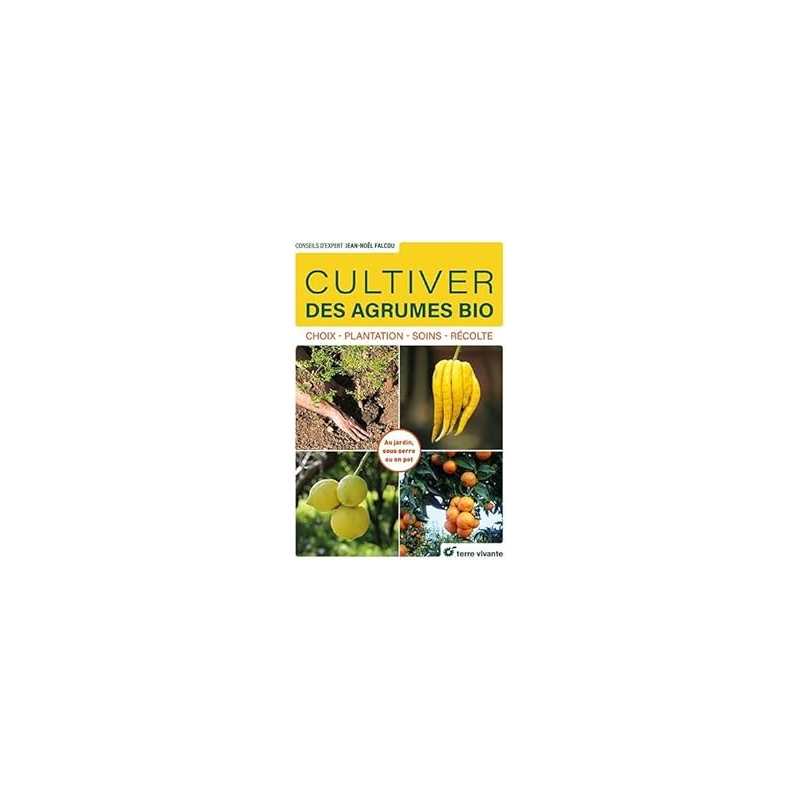 Cultiver des agrumes bio - Falcou Jean-Noel