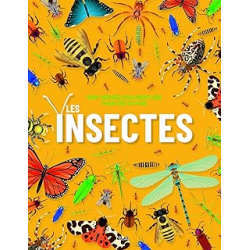 Mon premier documentaire pour découvrir : les insectes - Jeffery/Ramos