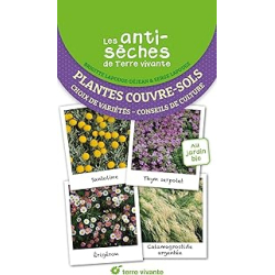 Les antisèches santé de Terre Vivante : plantes couvre-sol - Lapouge-Dejean