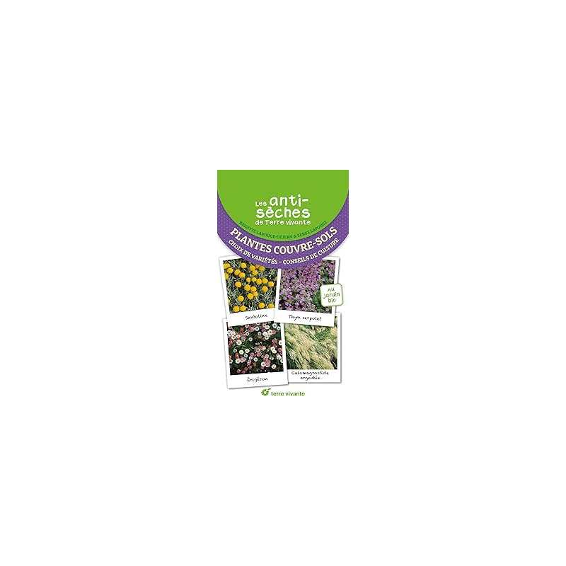Les antisèches santé de Terre Vivante : plantes couvre-sol - Lapouge-Dejean
