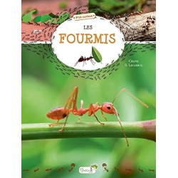 Les fourmis - Leclercq Celine S.