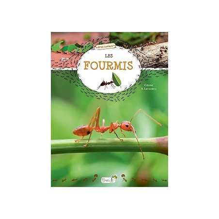 Les fourmis - Leclercq Celine S.