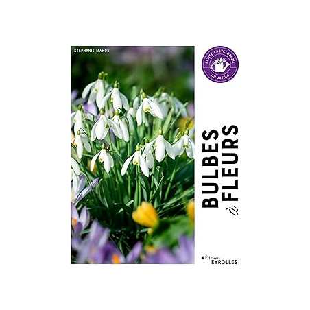 Bulbes à fleurs - Mahon Stephanie