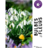 Bulbes à fleurs - Mahon Stephanie