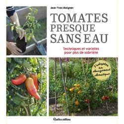 Tomates presque sans eau - Meignen Jean-Yves