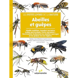 Abeilles et guêpes - Melbeck/Giriens