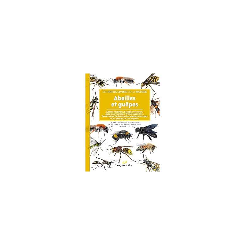 Abeilles et guêpes - Melbeck/Giriens