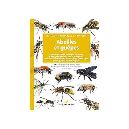 Abeilles et guêpes - Melbeck/Giriens