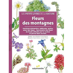 Fleurs des montagnes - Melbeck/Matos/Dotti