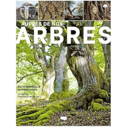 Auprès de nos arbres - Montelle