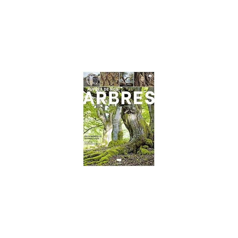 Auprès de nos arbres - Montelle