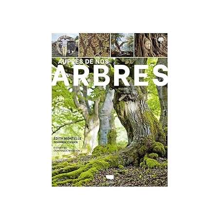 Auprès de nos arbres - Montelle