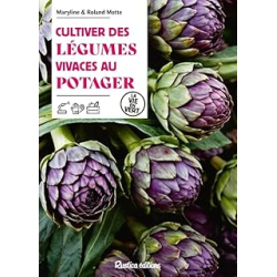 Cultiver des légumes vivaces au potager - Motte