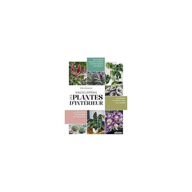 Encyclopédie des plantes d'intérieur - Moutardier Solene