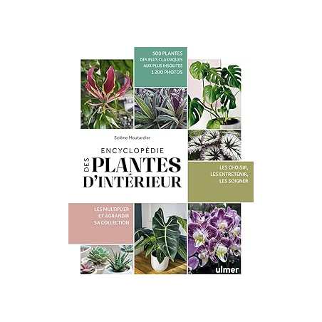 Encyclopédie des plantes d'intérieur - Moutardier Solene