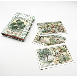 Le petit livre des arbres + cartes postales - Pen Du Dominique