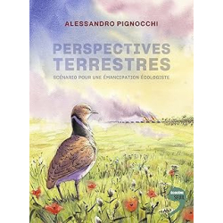 Perspectives terrestres - Pignocchi Alessandro