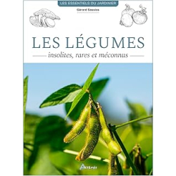 Les légumes insolites, rares et méconnus - Sasias G.