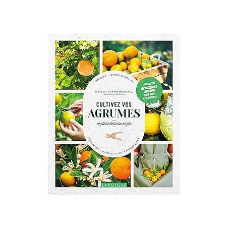 Cultivez vos agrumes - Schall/Quissac